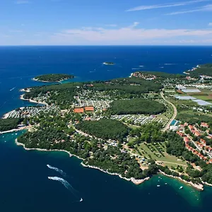 ellenőrizze a rendelkezésre állást
